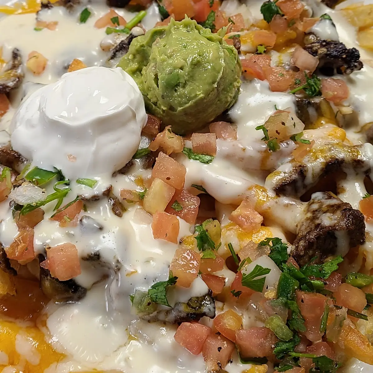 Carne Asada Fries