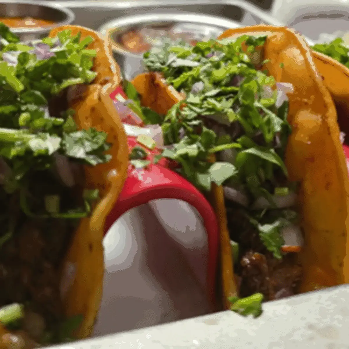 Grilled Chicken Tacos