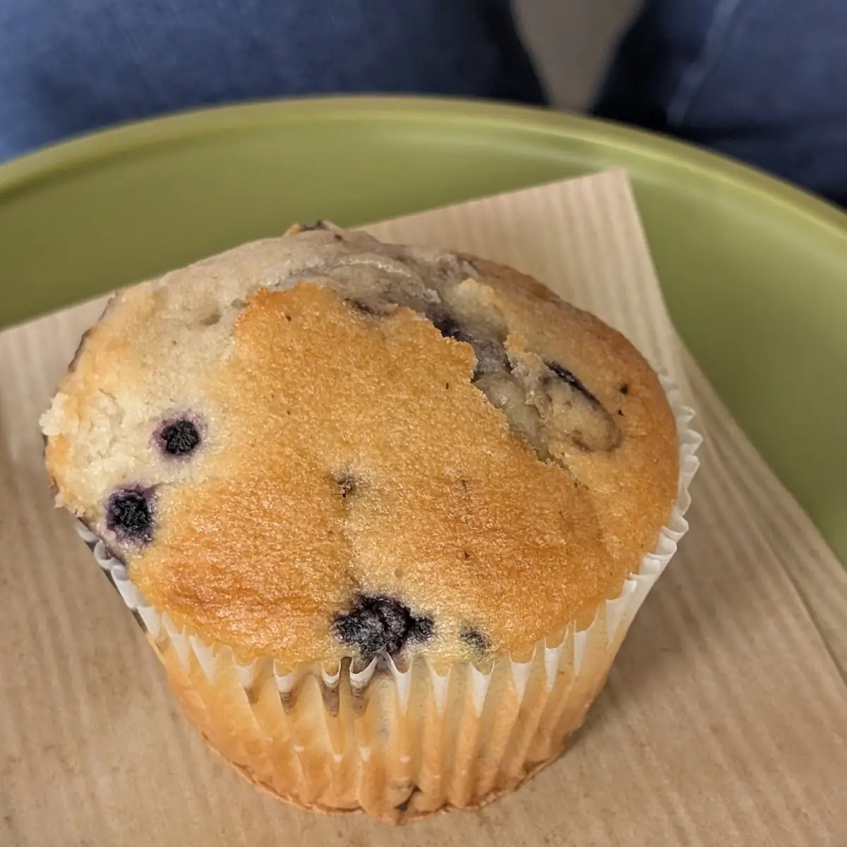 Blueberry Muffin