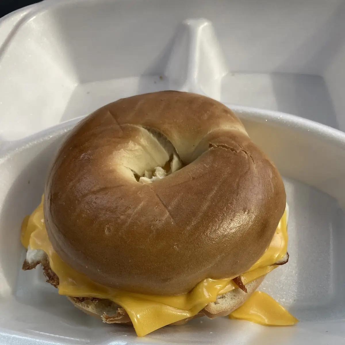 Bagel