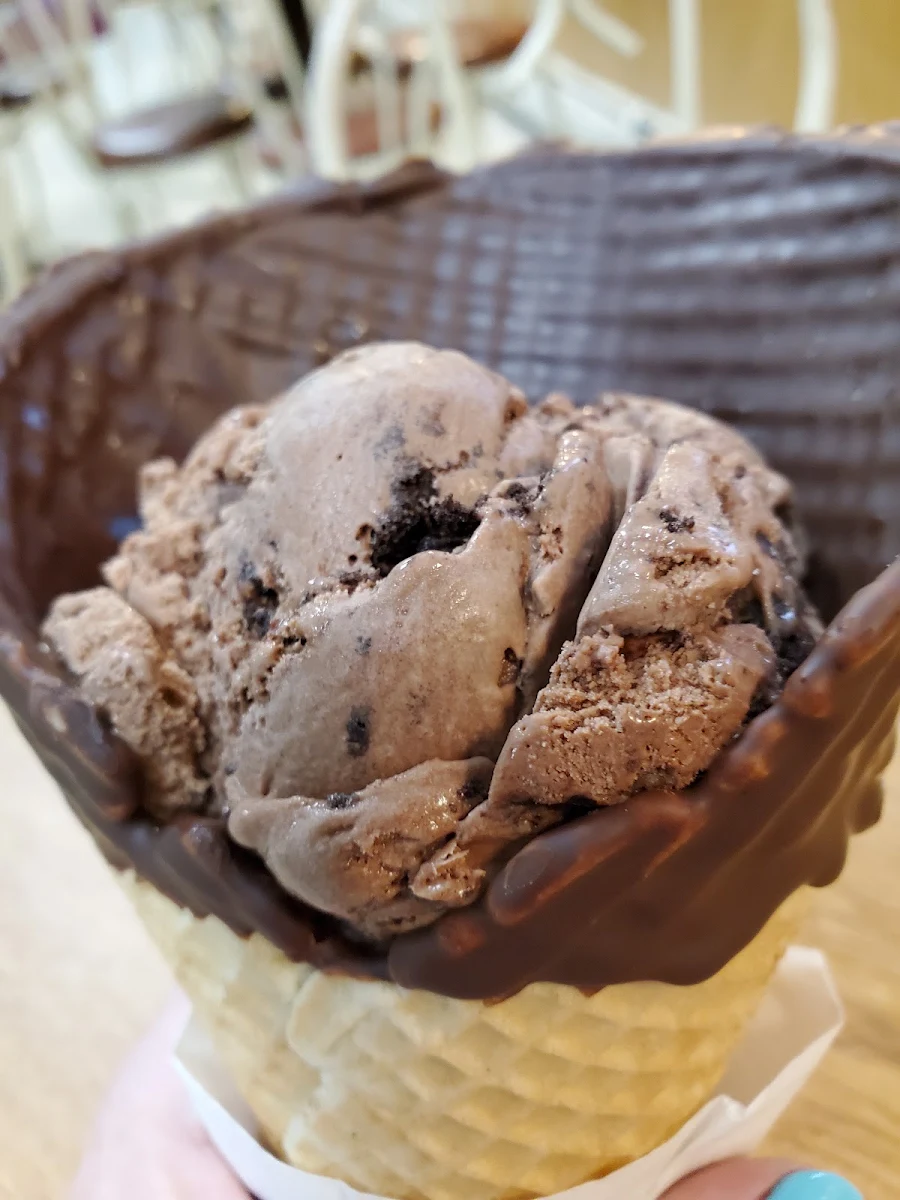 Chocolate Ice Cream