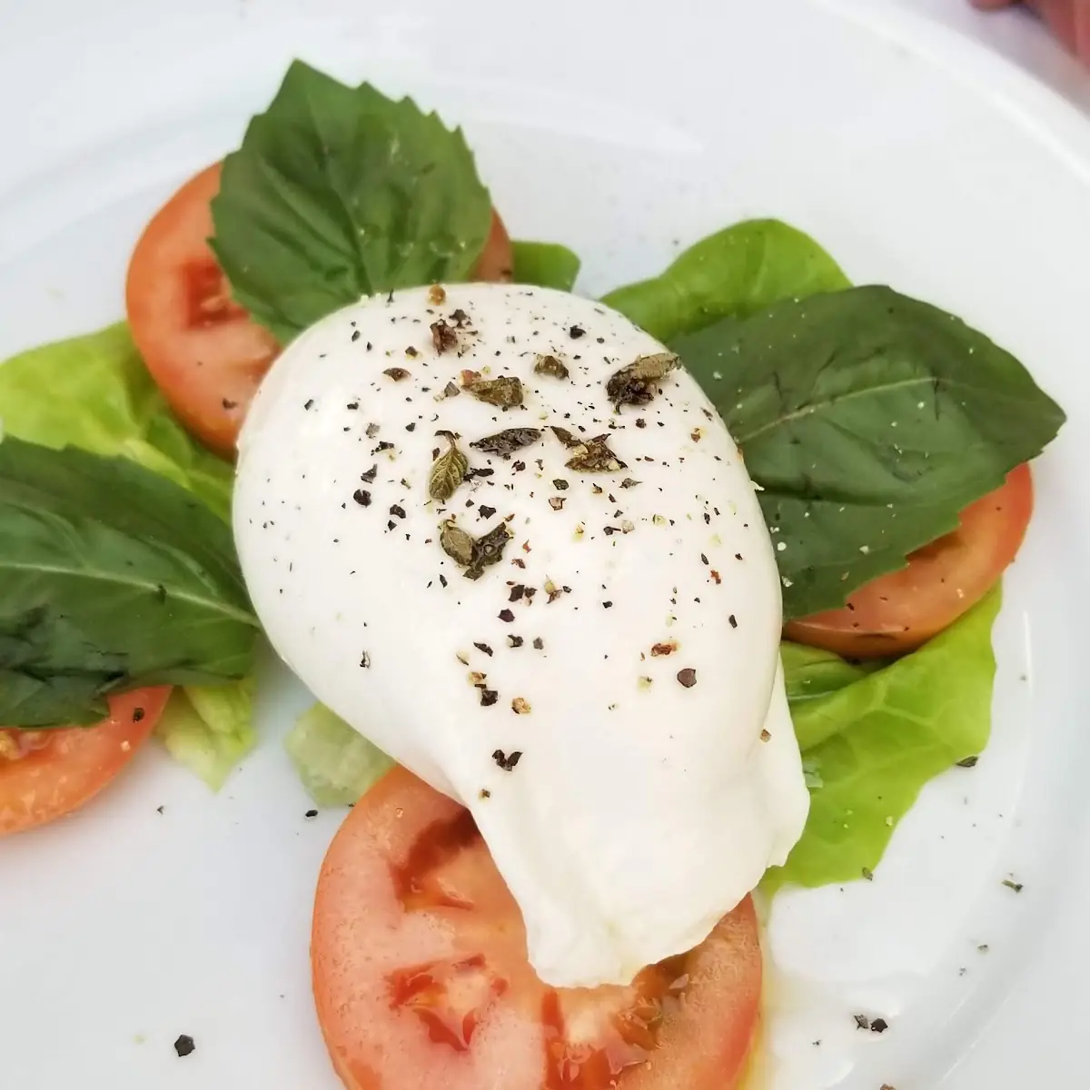 Insalata Caprese