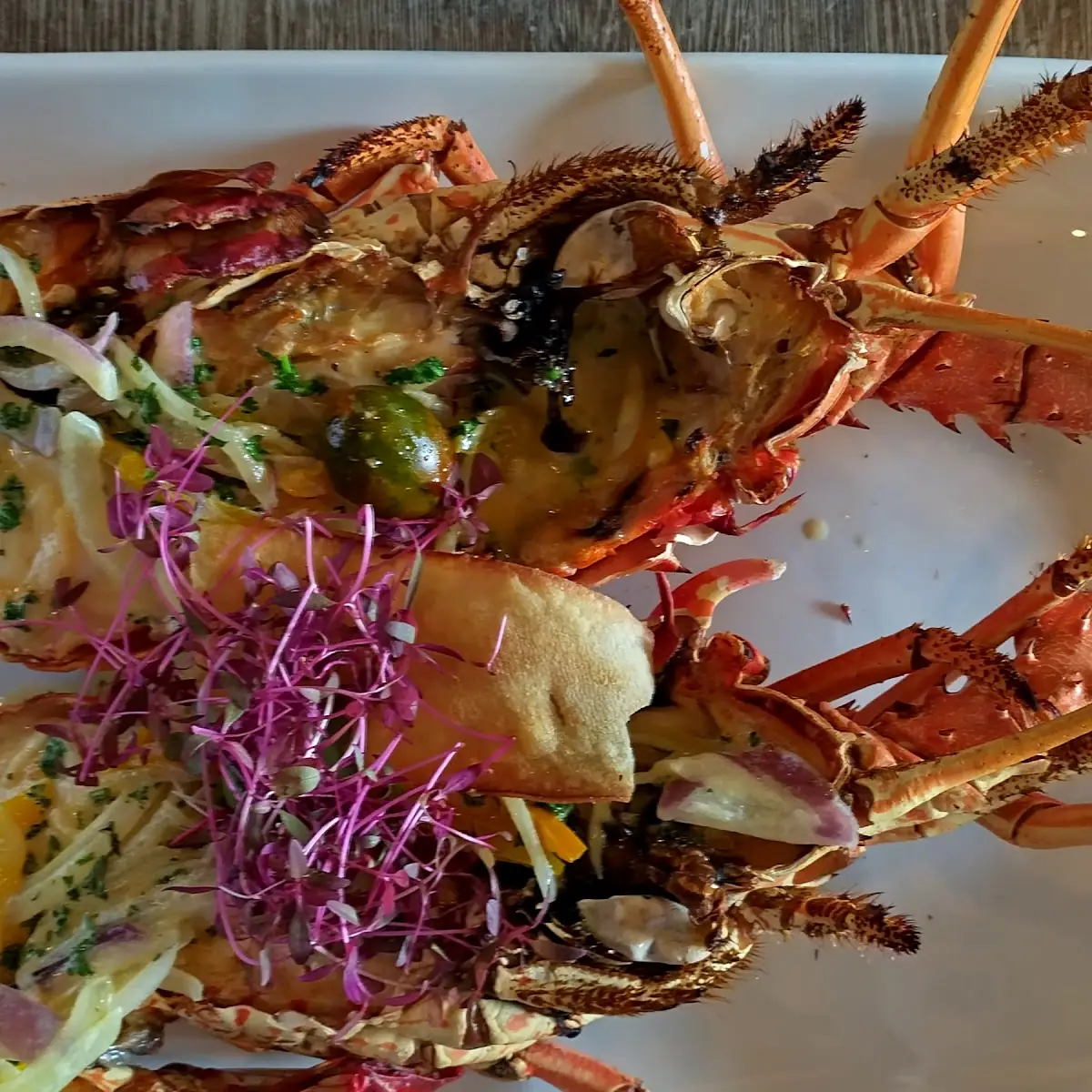 Lobster