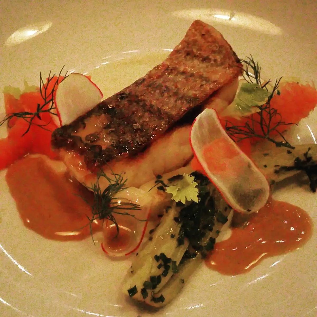 Wild Sea Bass