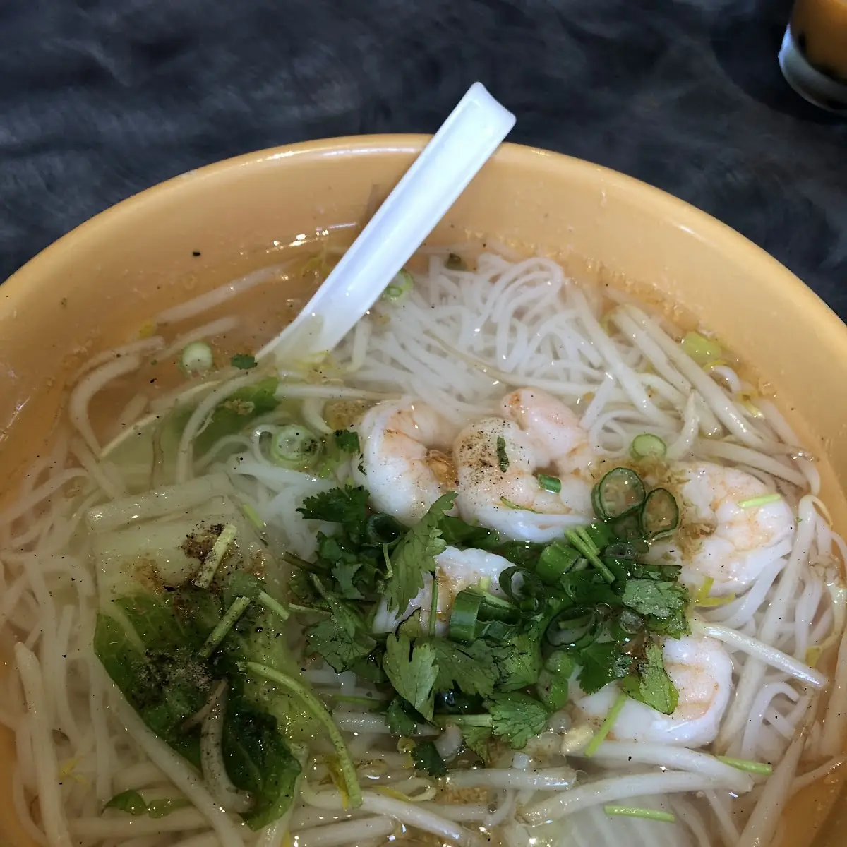Shrimp Noodle Soup