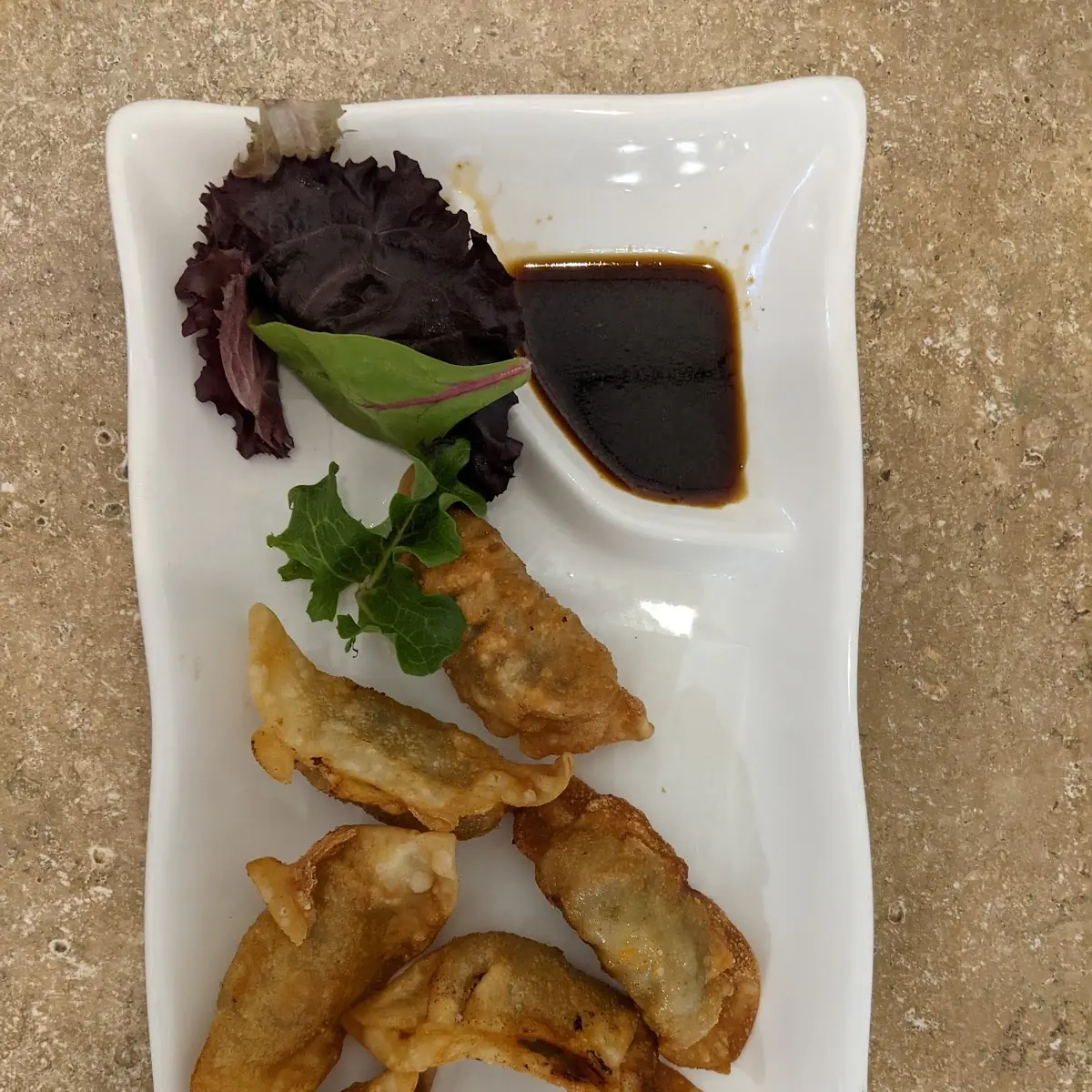 Cheese Wonton 5