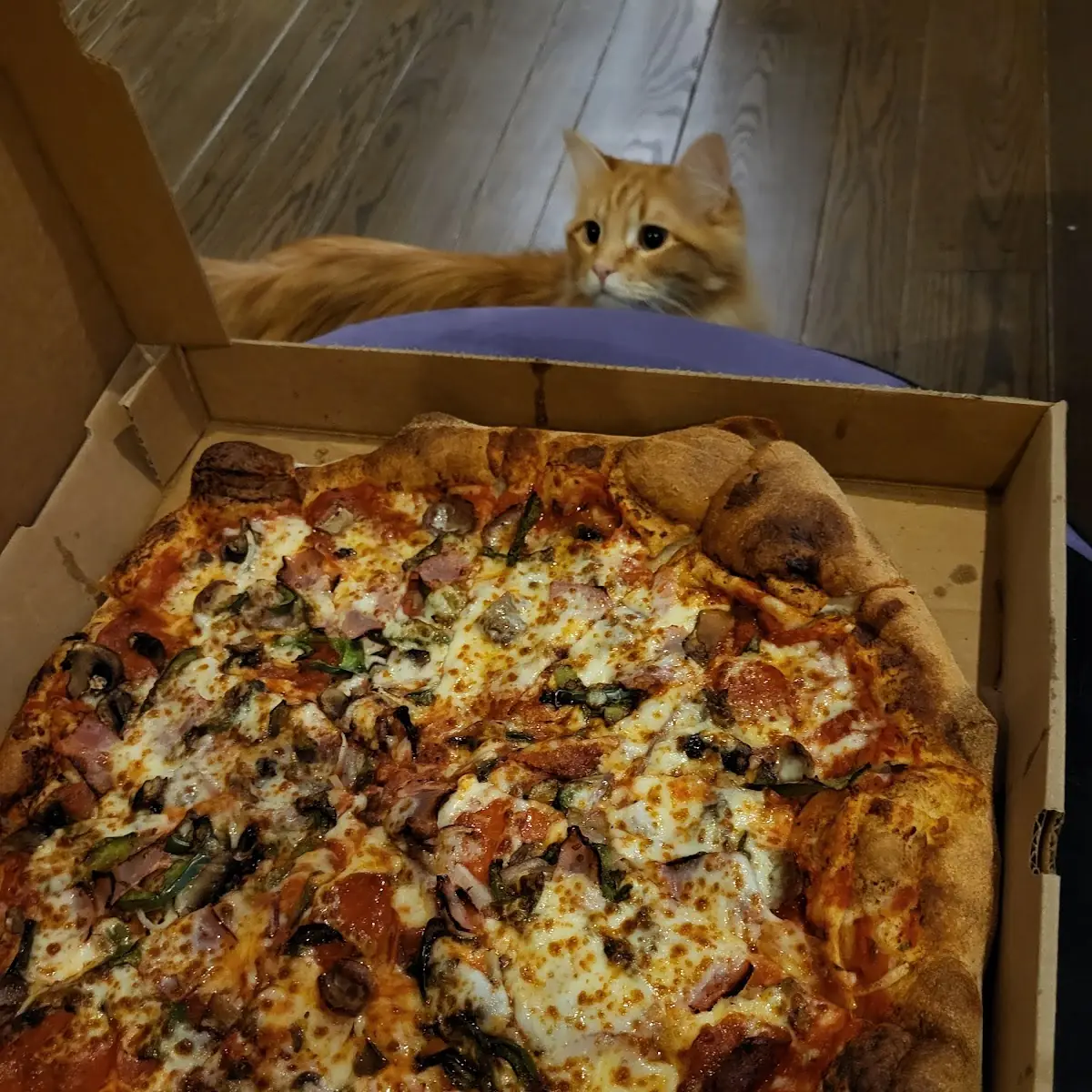Supreme Pizza