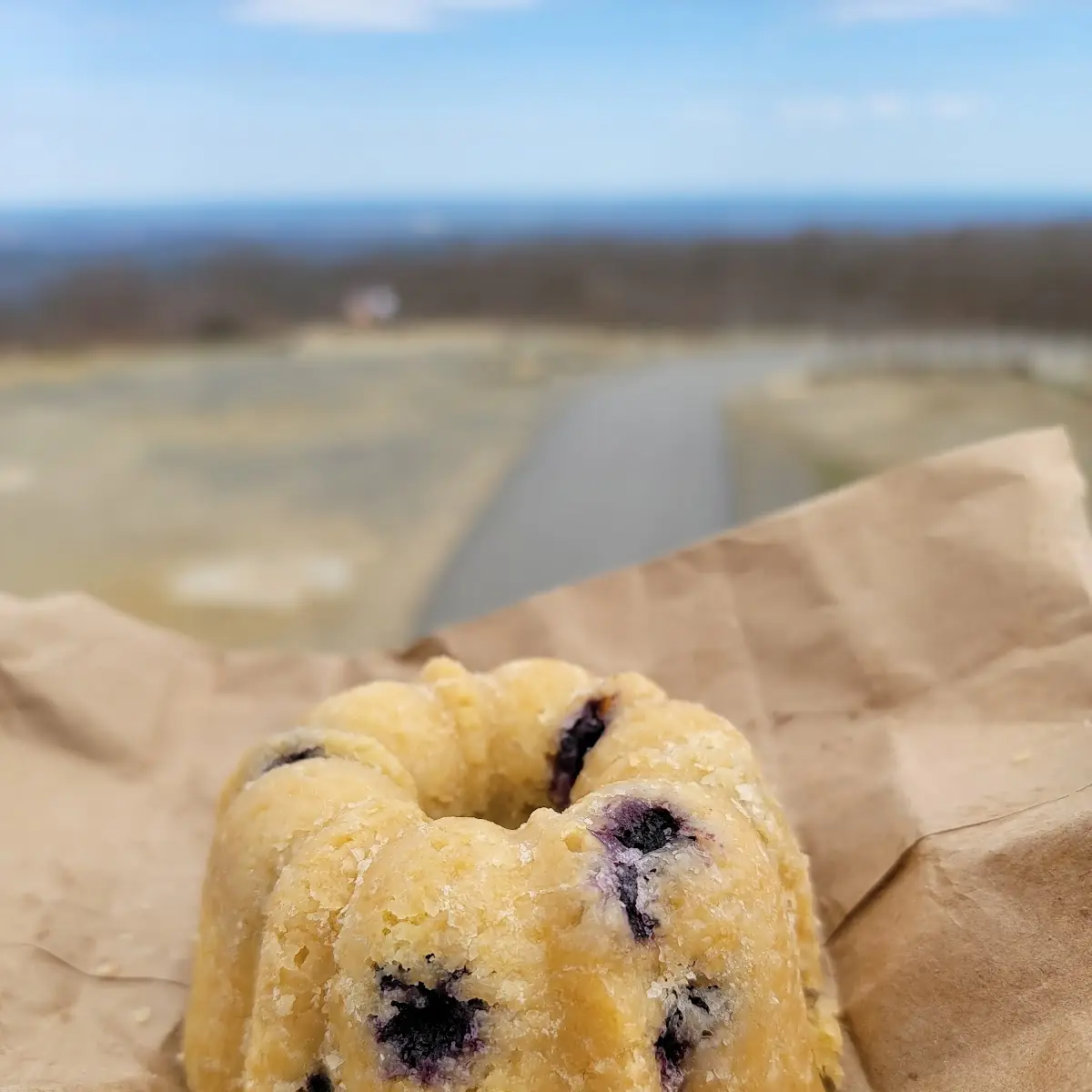 Bundt Cake