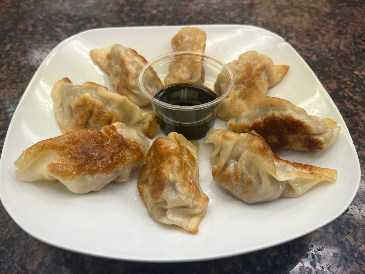 Pan Fried Dumplings