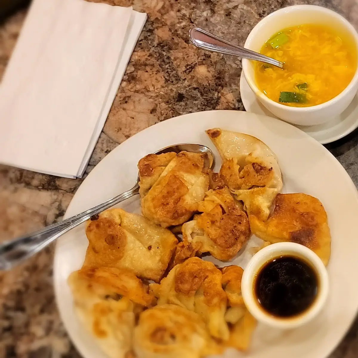 Pan Fried Pork Dumplings