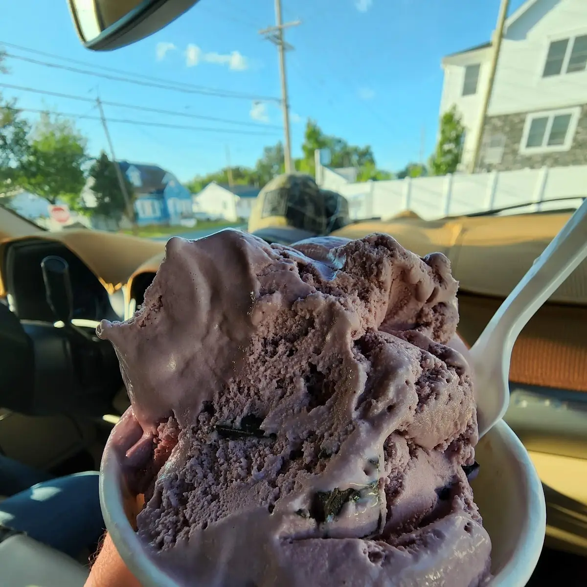 Black Raspberry Chocolate Chip
