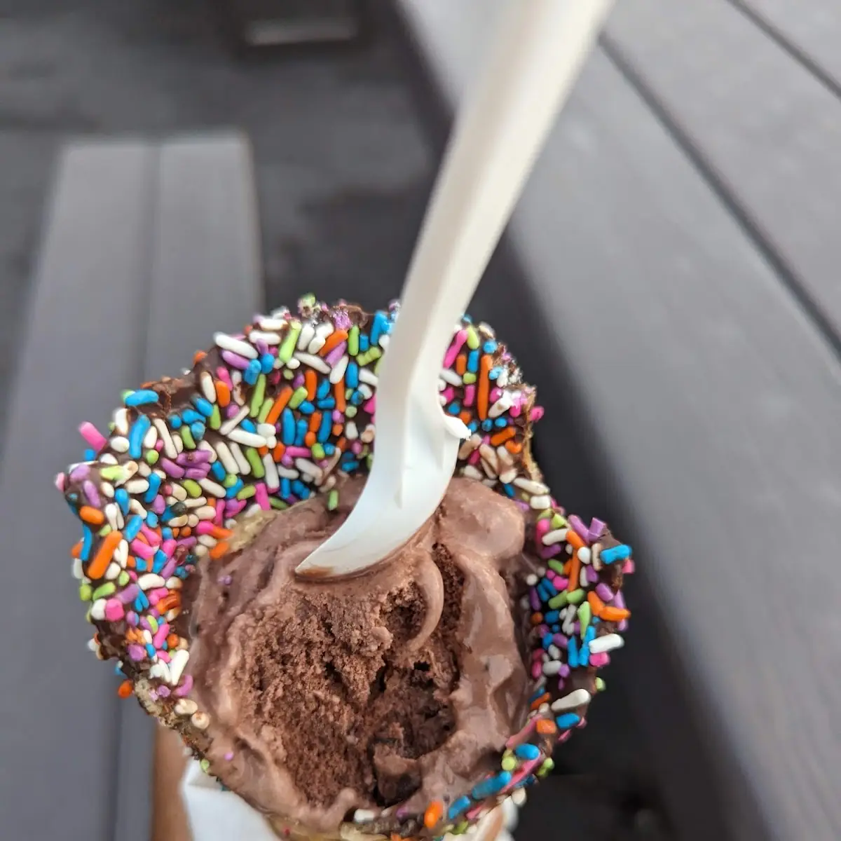 Chocolate Nut Fudge Brownie