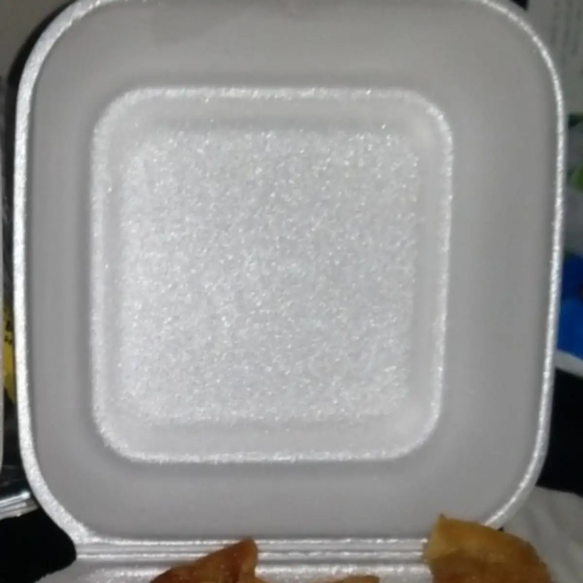 Fried Dumplings