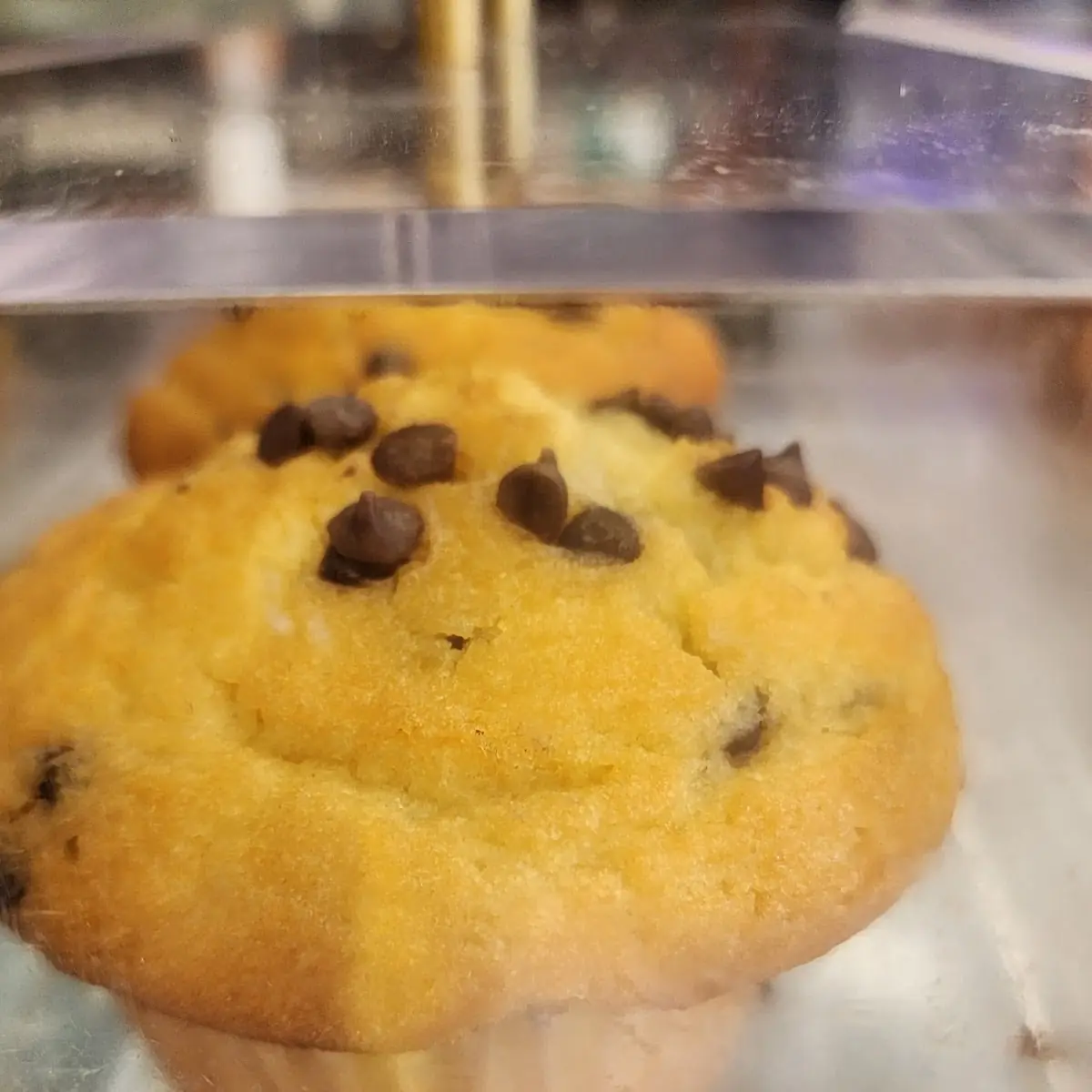Blueberry Muffin
