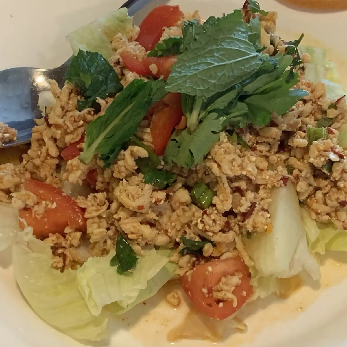 Larb Kai Thai Style