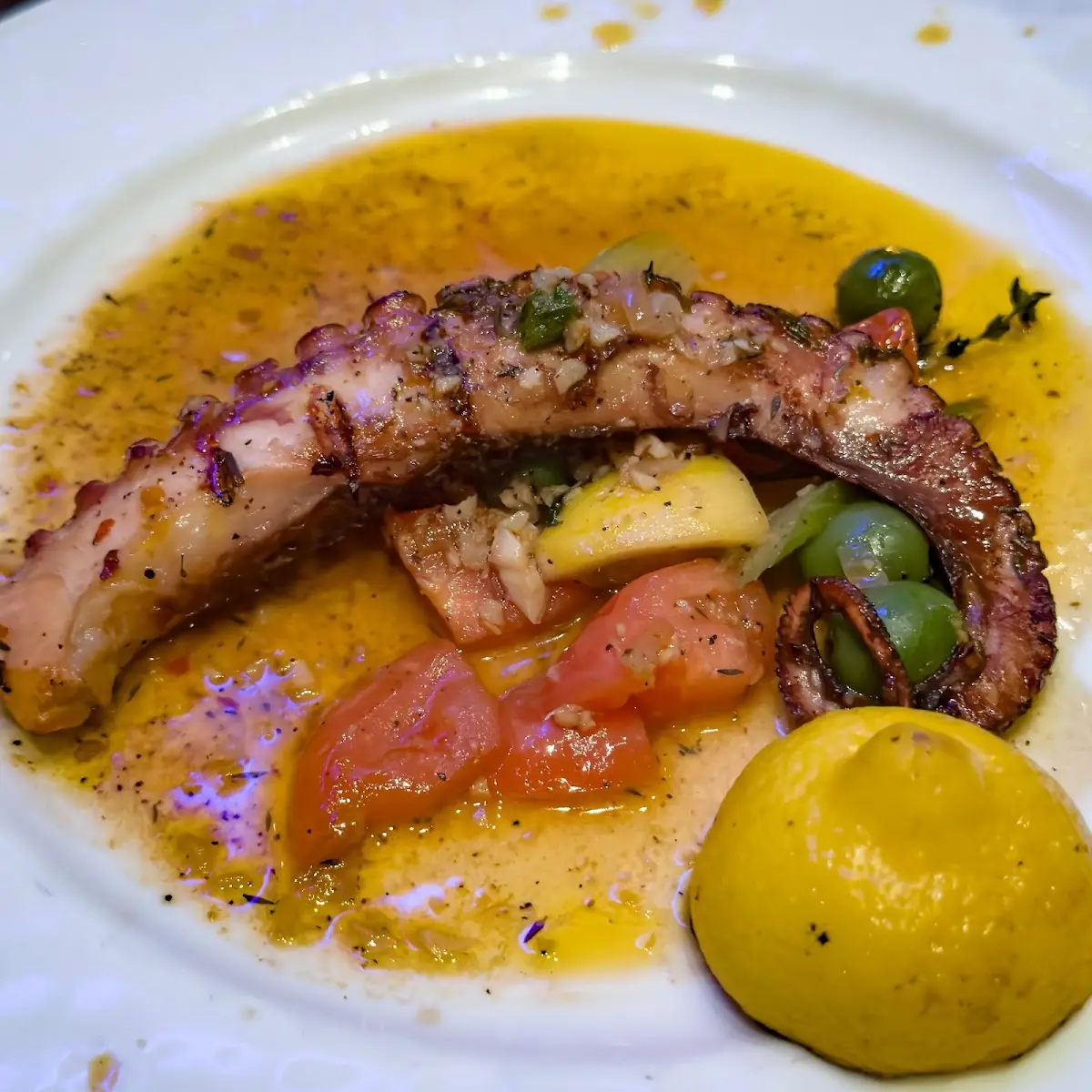 Grilled Octopus