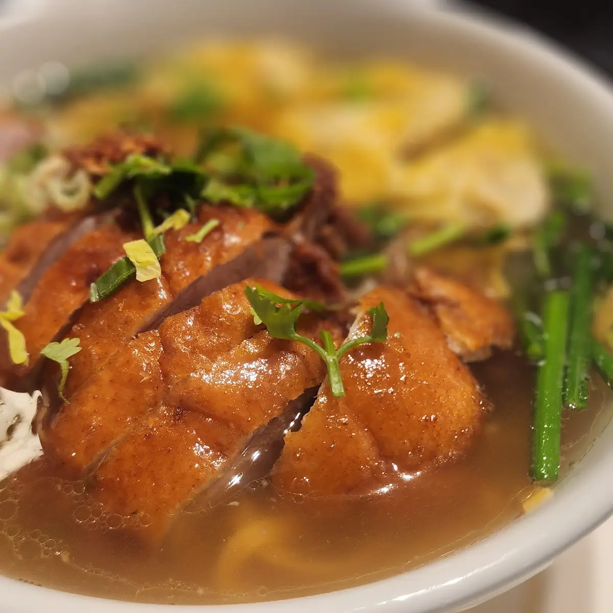 Duck Wonton Noodle Soup