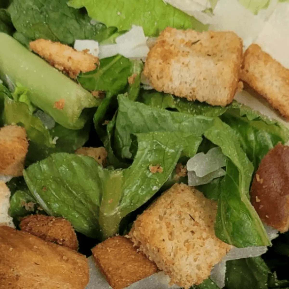 Garden Salad