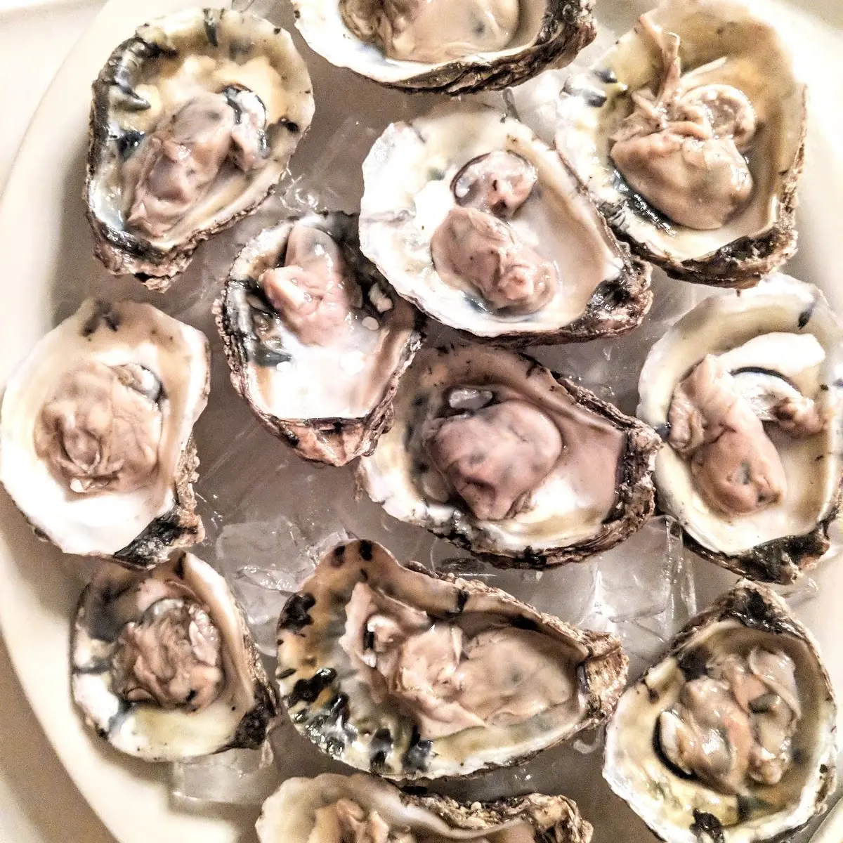 Oysters on the Half Shell with Hogwash