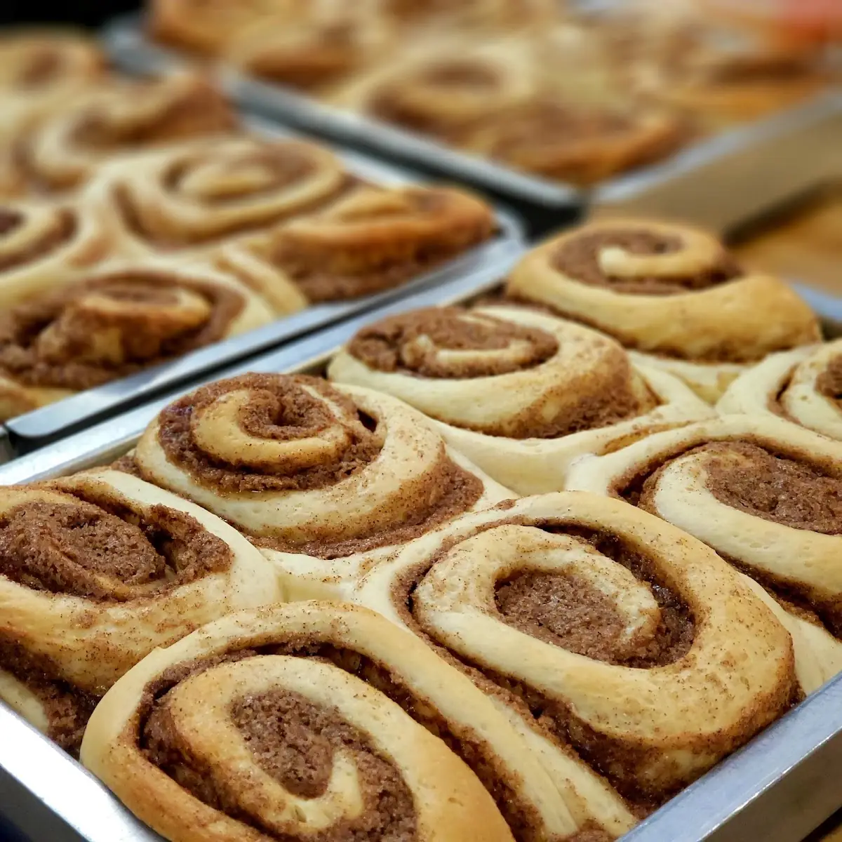 Cinnamon Rolls