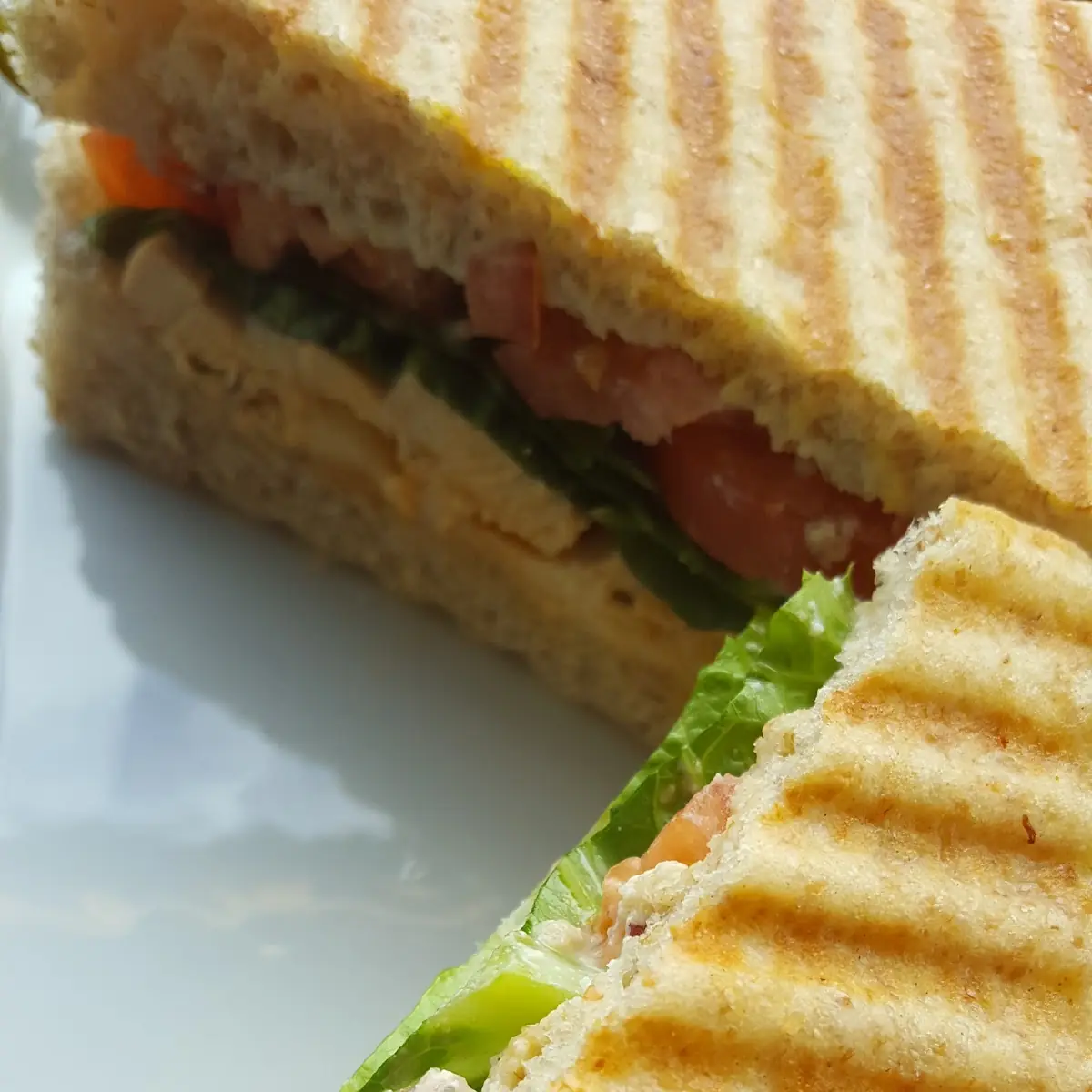 Lettuce Tomato Mayo Panini