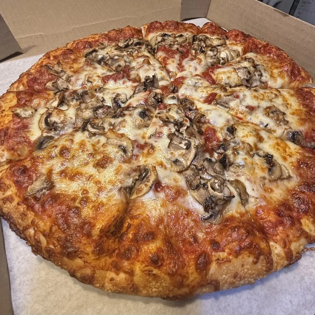 Mushroom Pizza