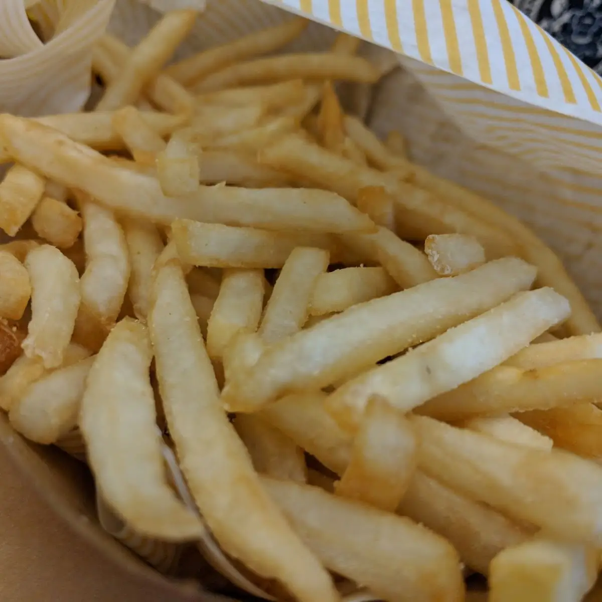 World Famous Fries