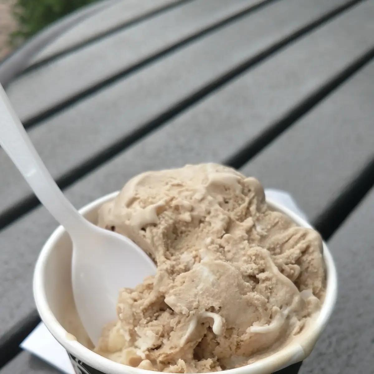 Gelato