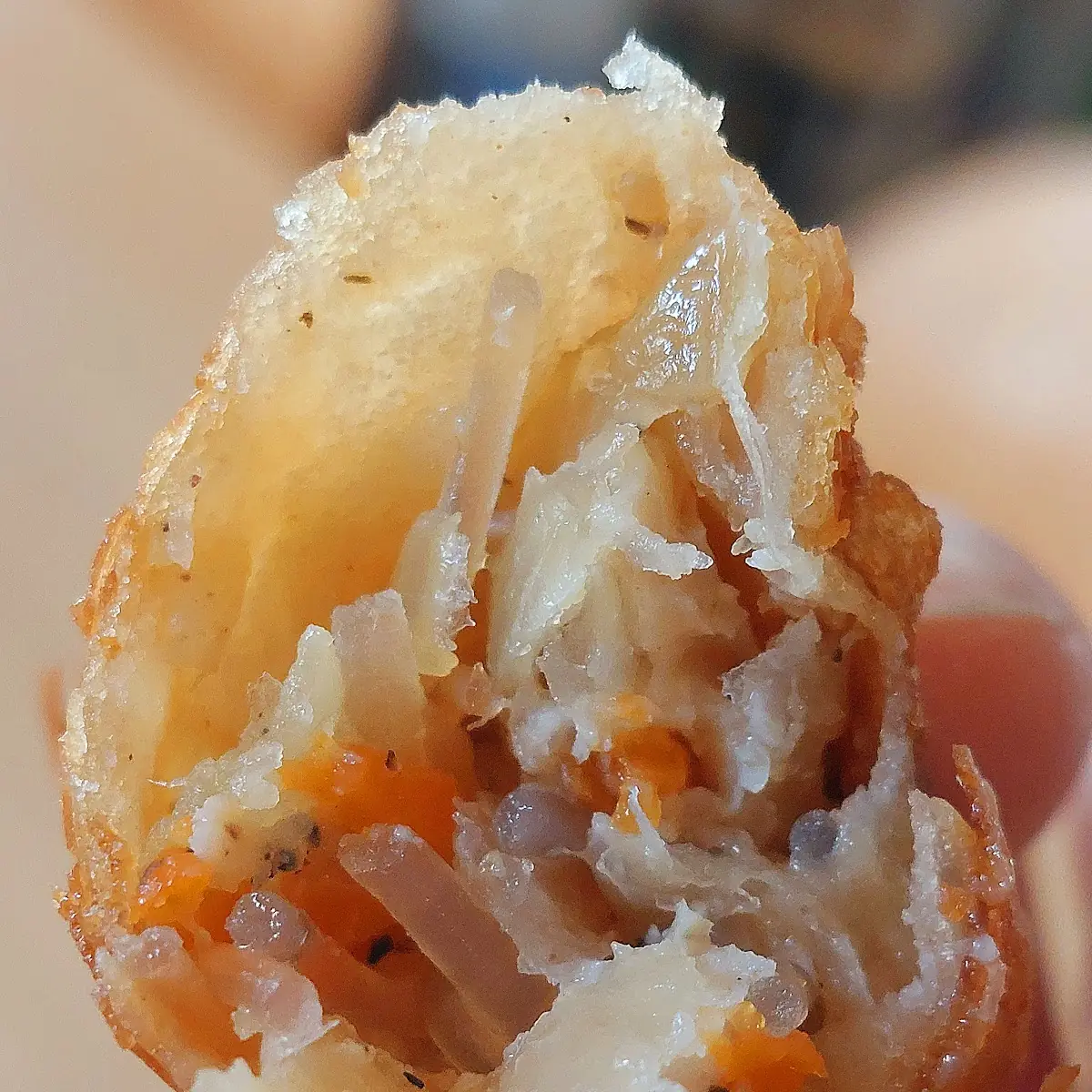 Spring Roll