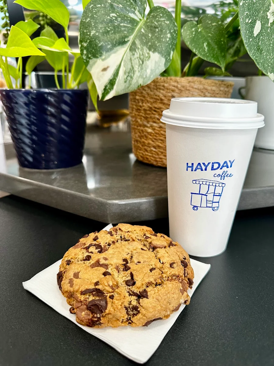 Jumbo Chocolate Chip Cookie