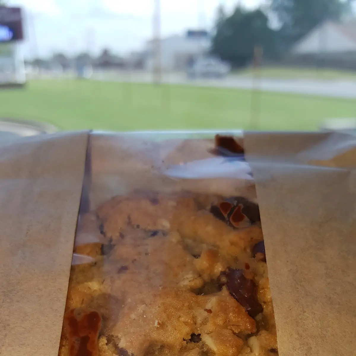 Warm Chocolate Chip Cookies