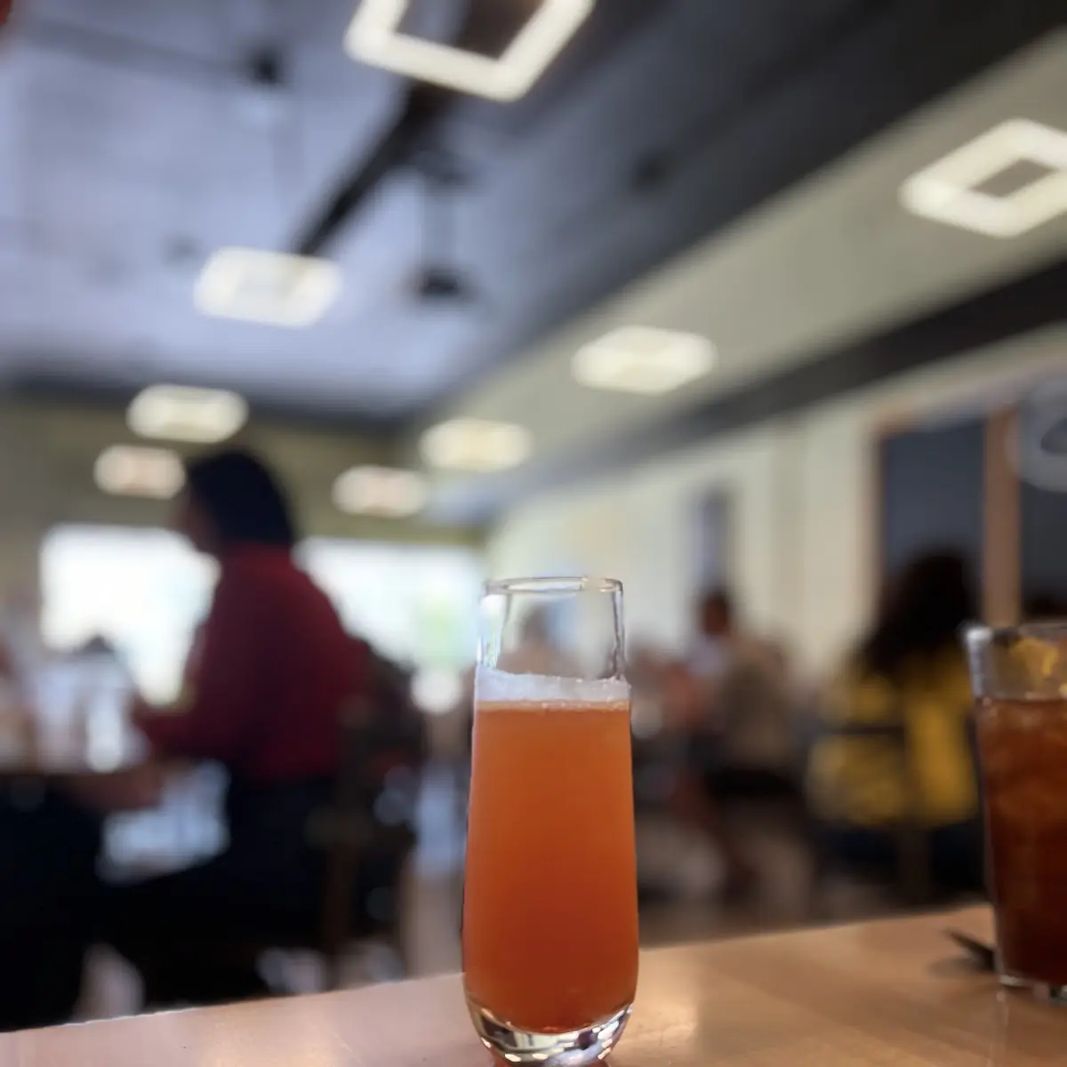 Mimosa Flight