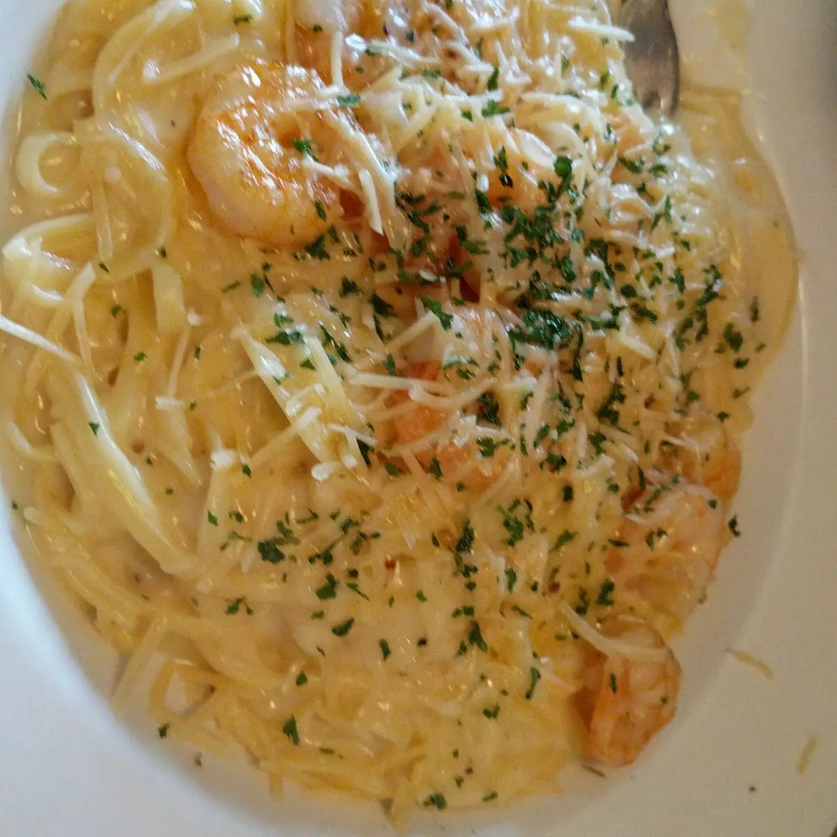 Shrimp Alfredo