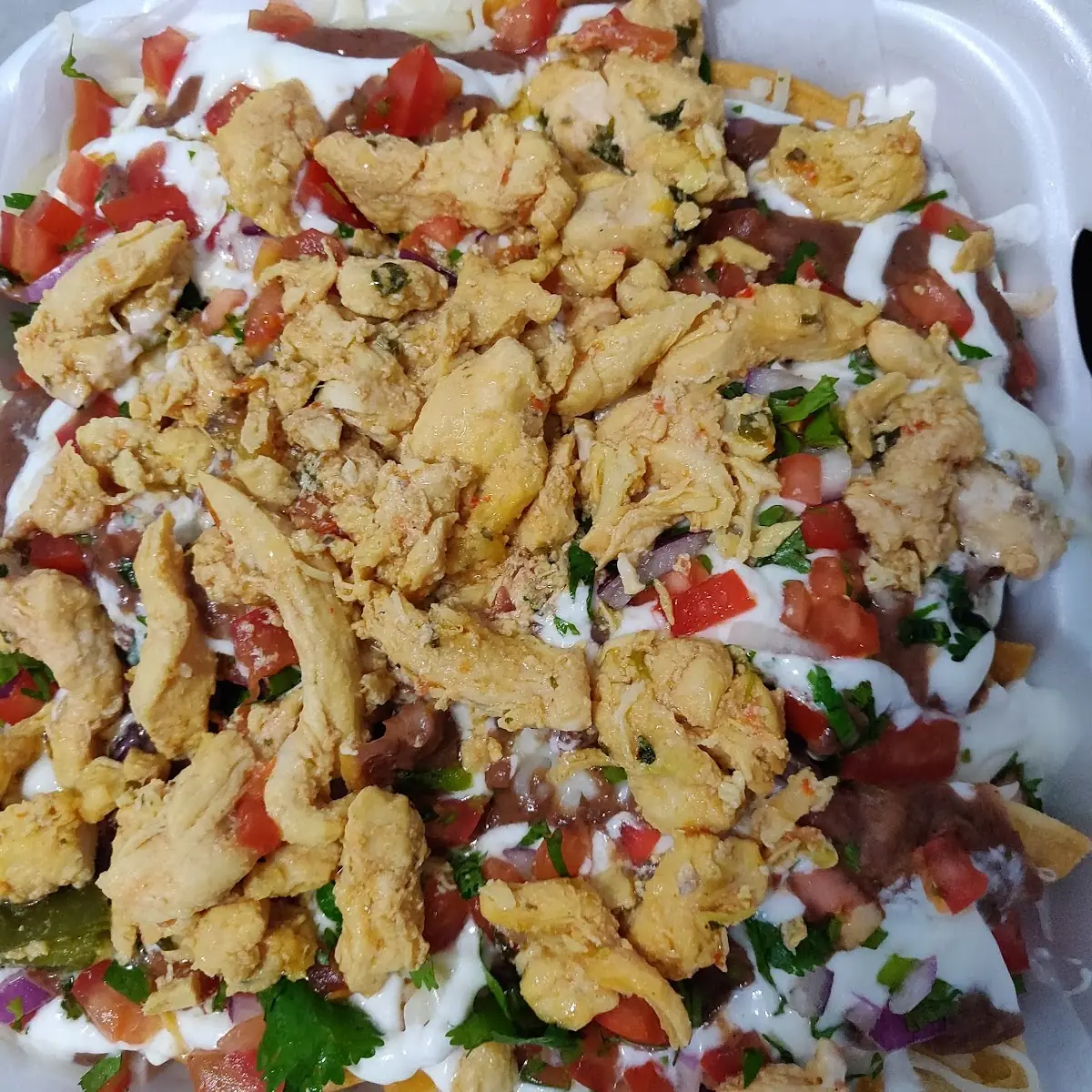 Chicken empanada