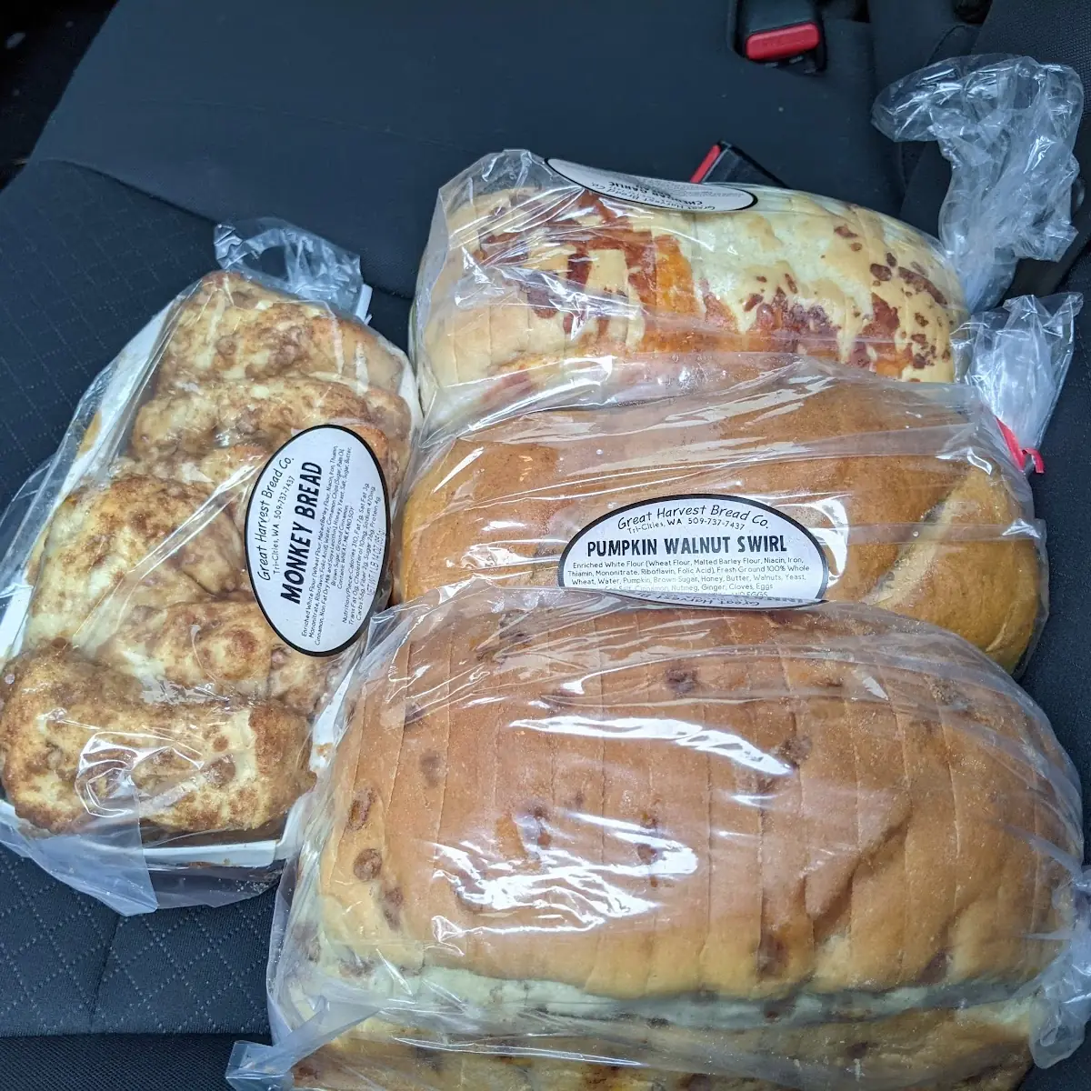 Cinnamon Burst Bread Monkey Bread Pumpkin Walnut Loaf and Cheddar Garlic Bread