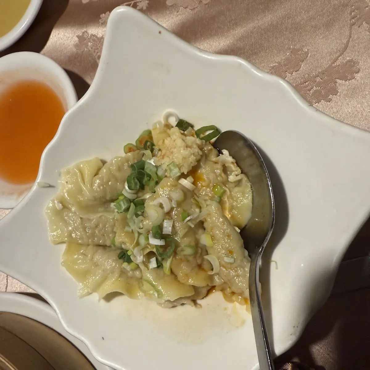 Spicy Chicken Dumplings