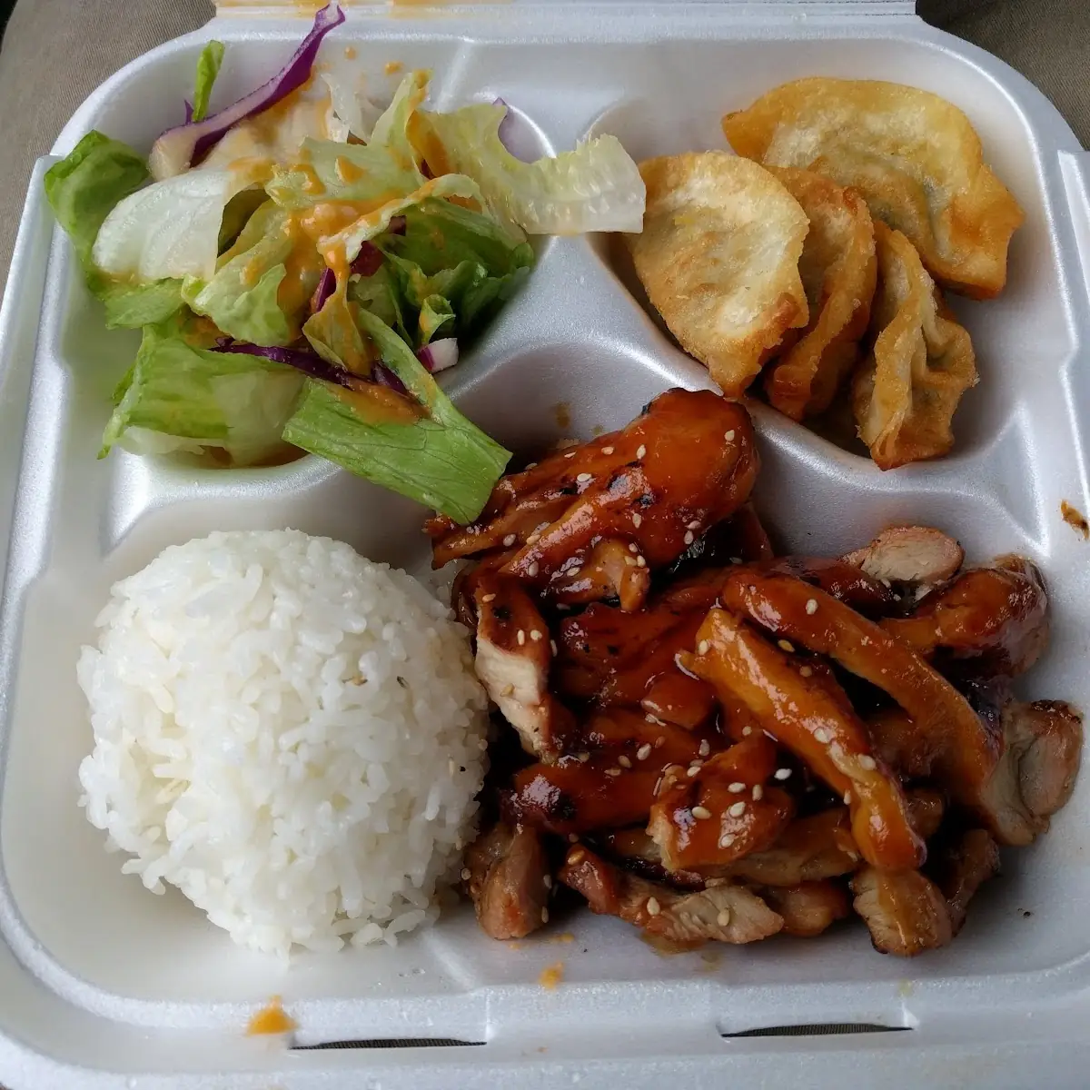 Teryaki Chicken Bento