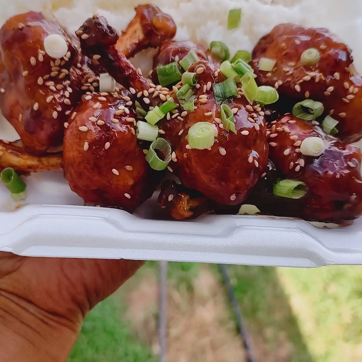 Lollipop Chicken Wings Combo
