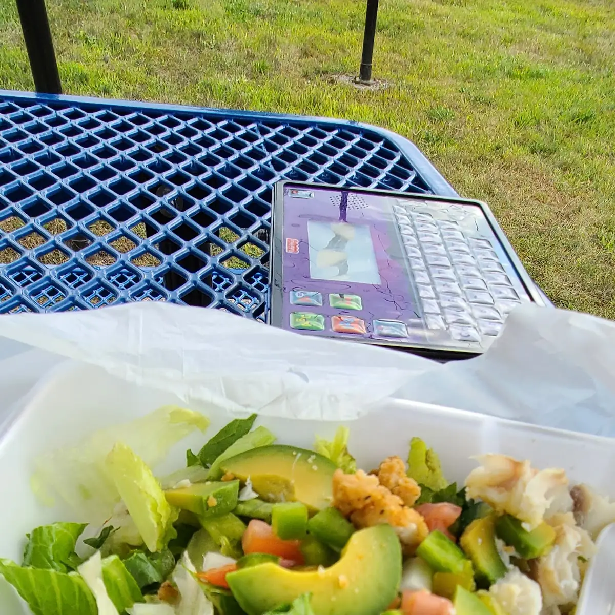Crispy Chicken Salad