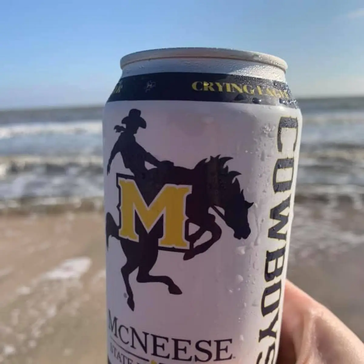 Energy Drink
