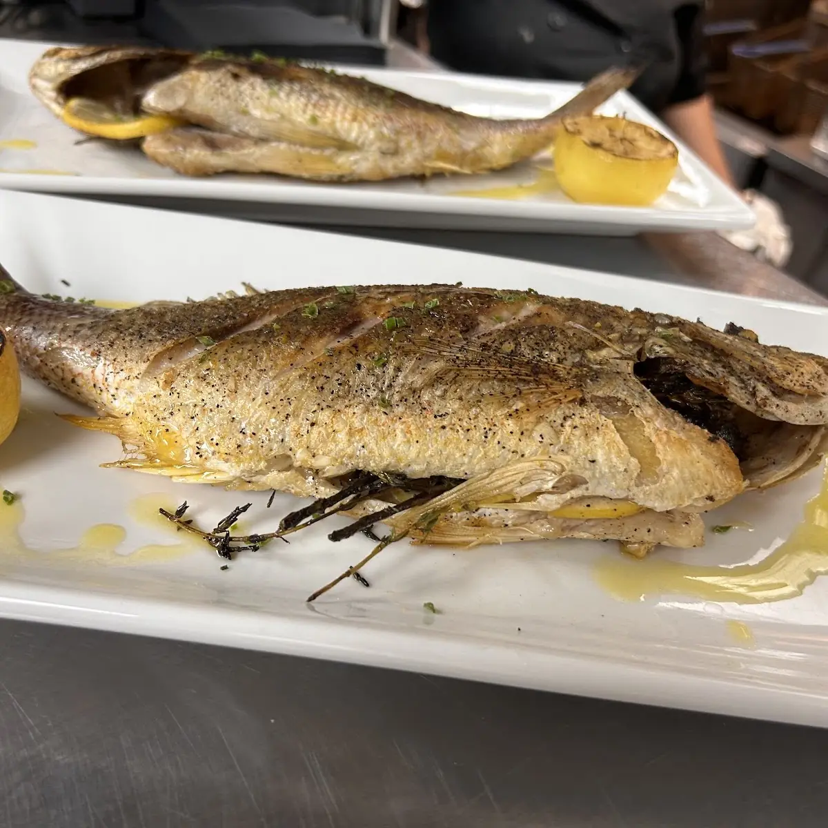 Sea Bass