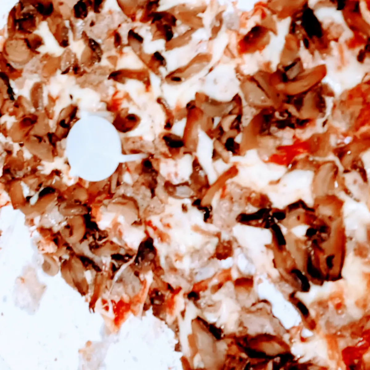 Mushroom Pizza