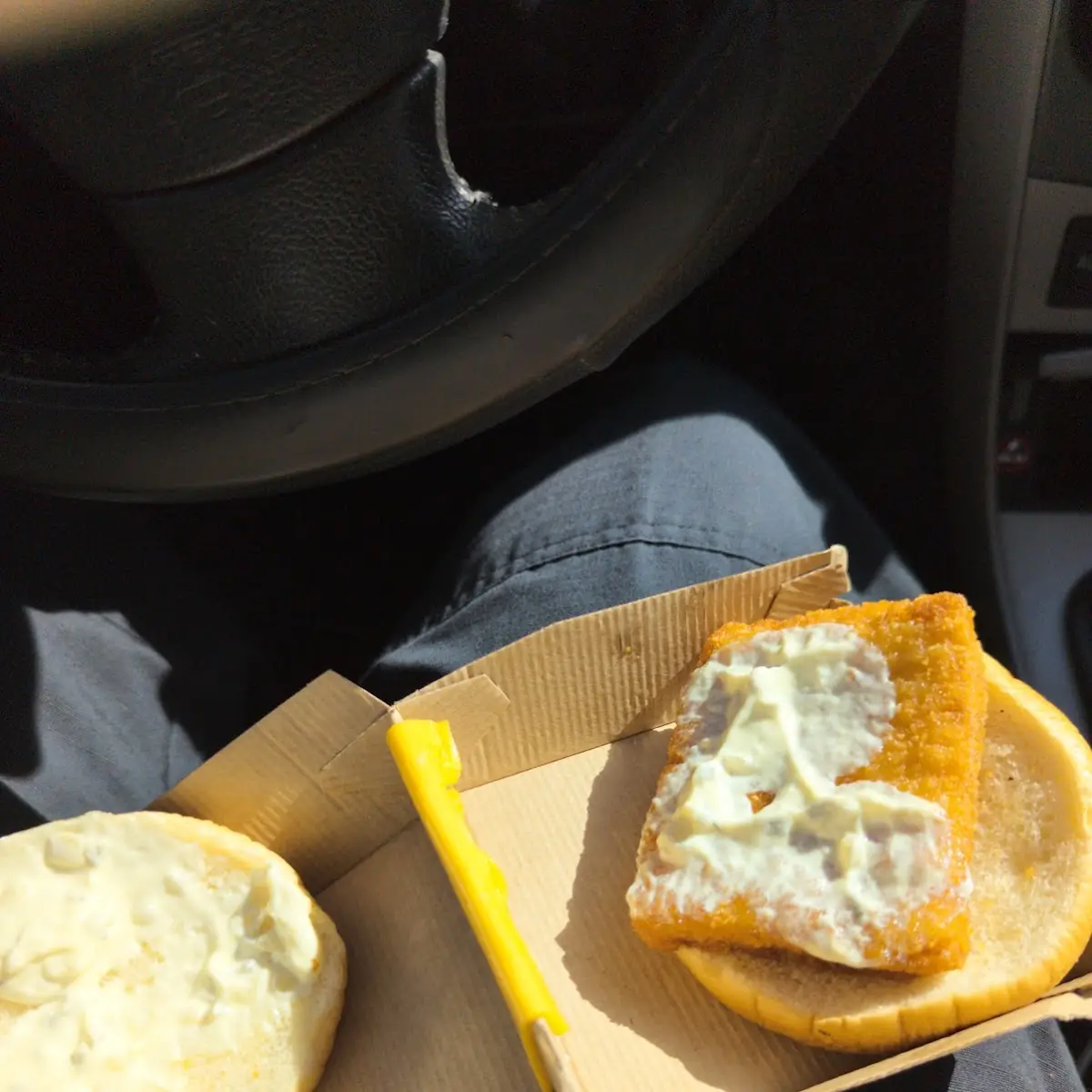 Fish Fillet