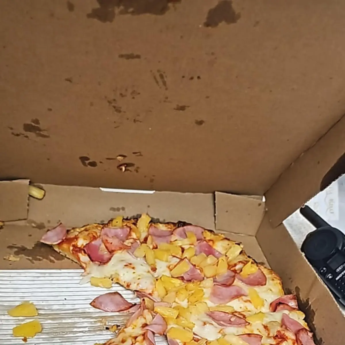 Hawaiian Pizza