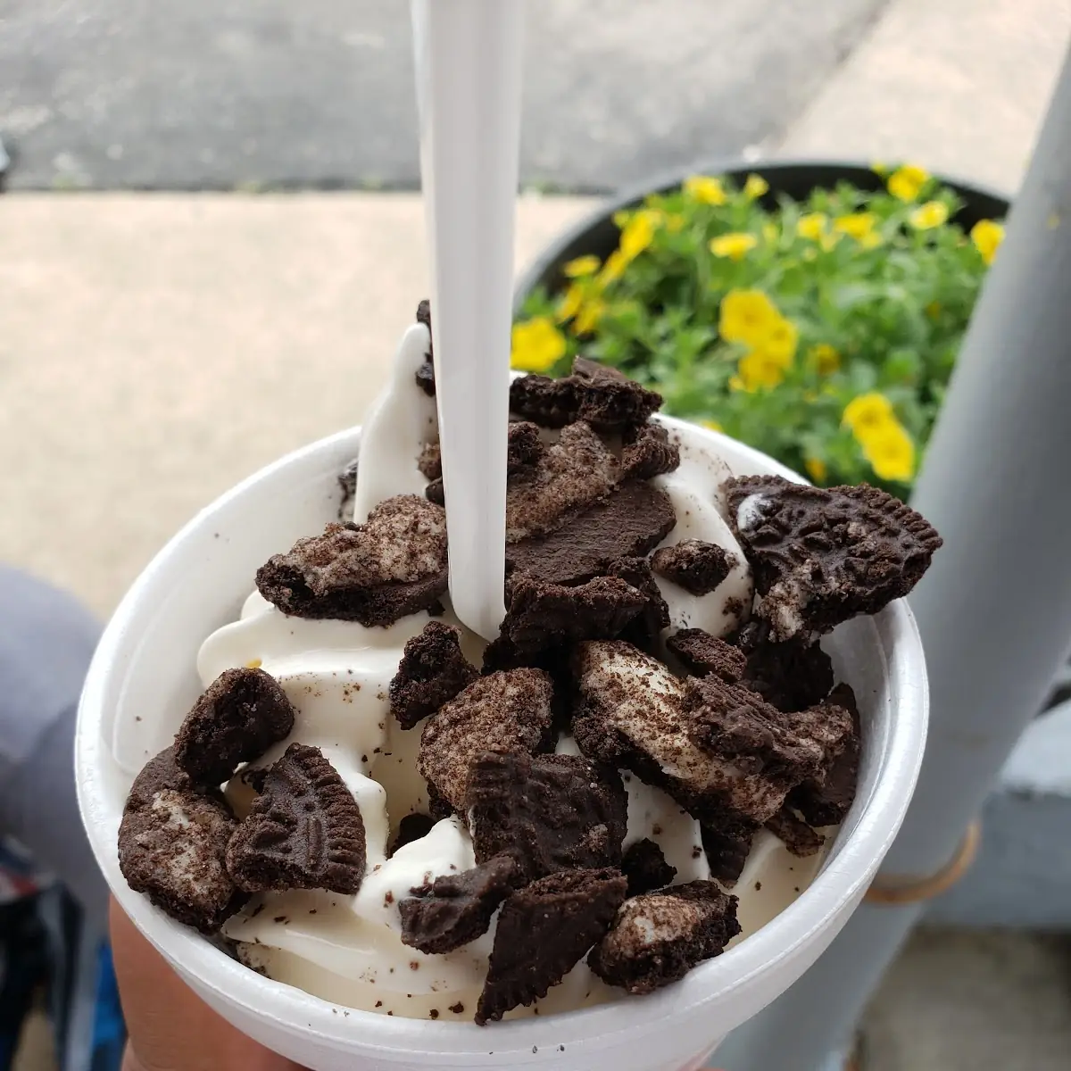 Reese's Siberian with Chocolate Ice Cream