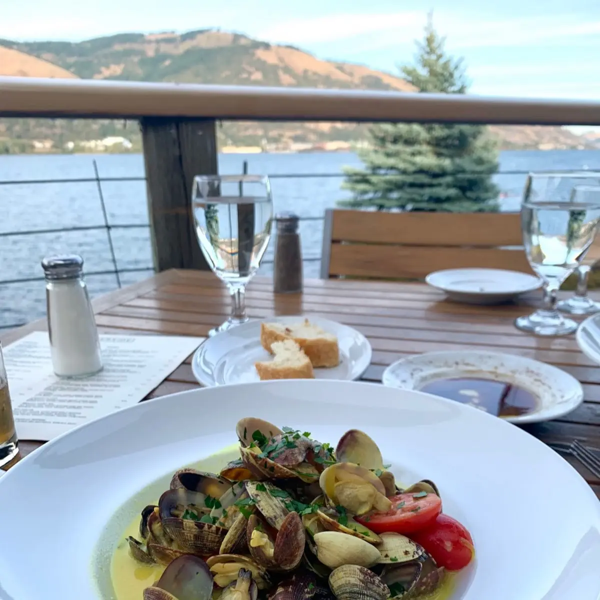 Manila Clams