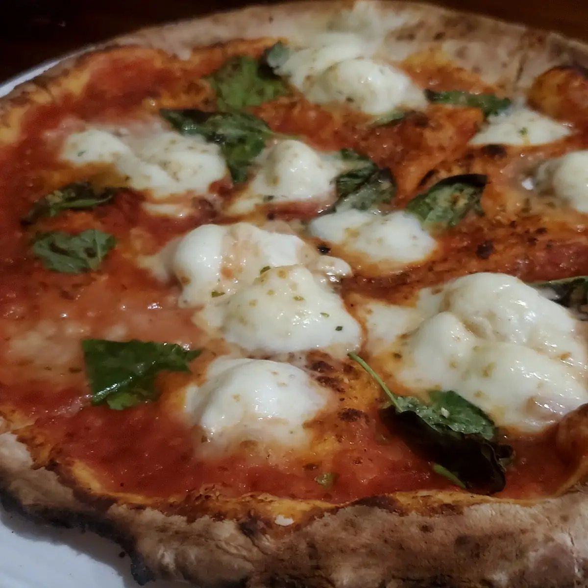 Margherita Pizza