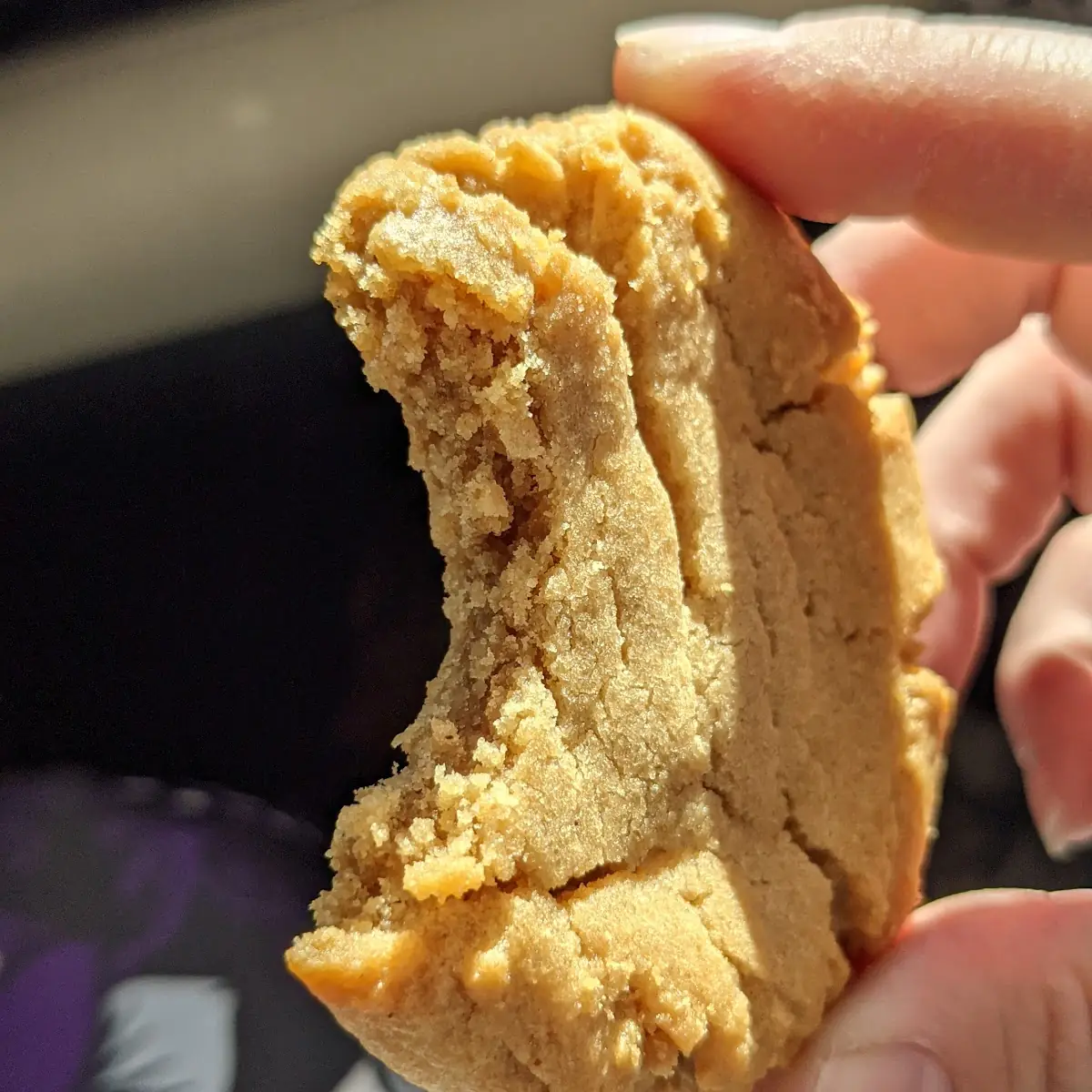 Peanut Butter Cookie