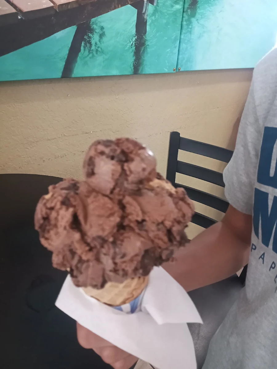 Chocolate Chip Cookie Dough