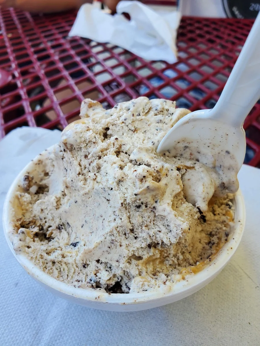 Single Scoop Oatmeal Cookie Craving
